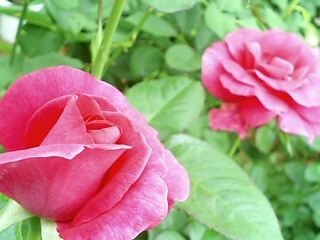 画像 012.jpg